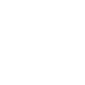Thesouthevent